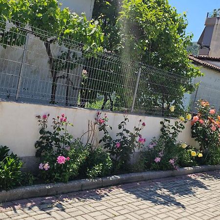 Aliaj Guest House Берат Экстерьер фото
