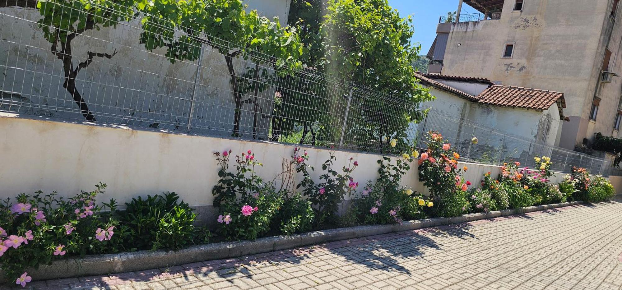 Aliaj Guest House Берат Экстерьер фото